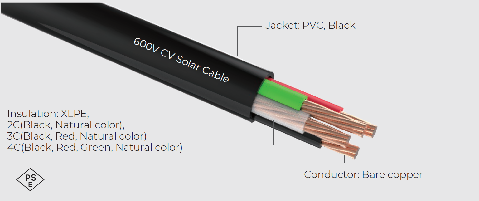 CV Multi-core